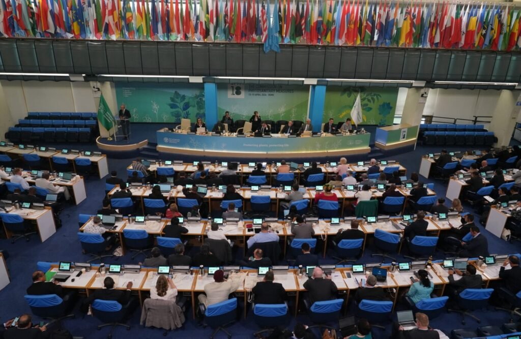 cpm19 noopoorientation