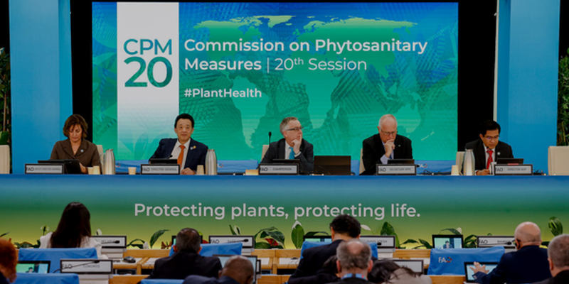 screenshot 2026 03 18 102857 800x400